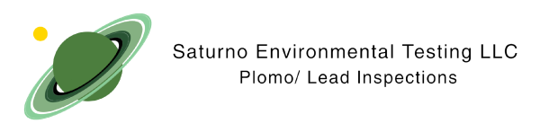 Saturno Environmental